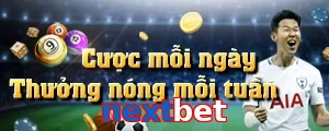 nextbet